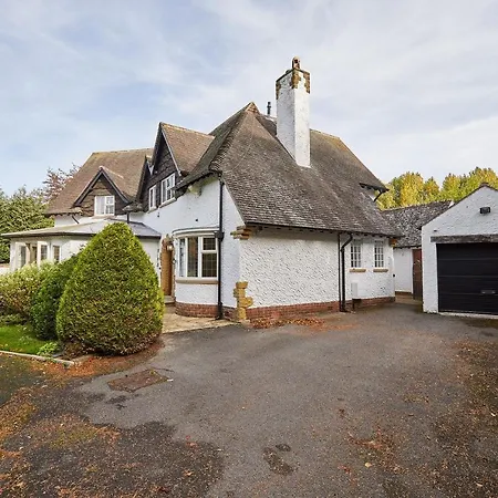 Host & - White Nyaraló *